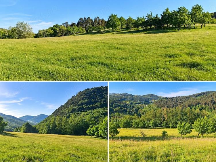 Casă cu 3 camere cu Teren 19549 Mp în Valea Vințului