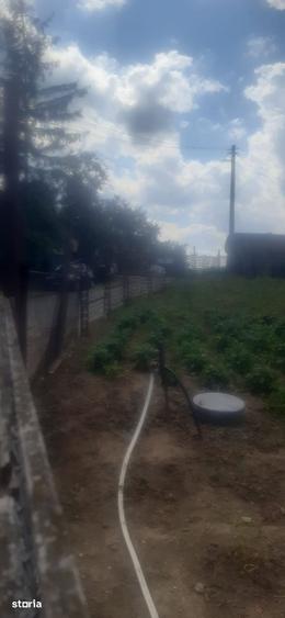 Teren de 781 mp, în Cetariu