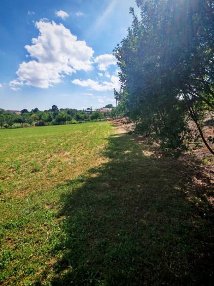 Teren de 7694 mp, în Tureni