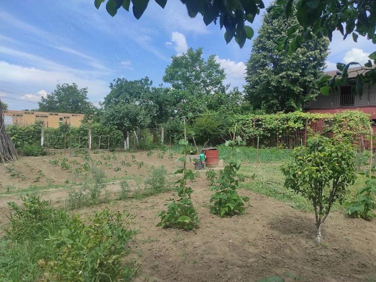 Casă cu 2 camere cu Teren 812 Mp în Central