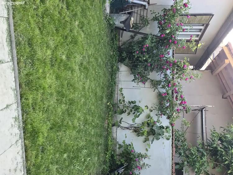 Vand Casa zona Calea Dumbravii-strada Bacovia 585.000 - 6