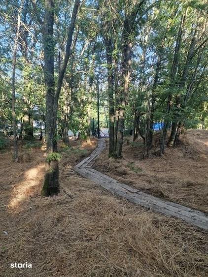Teren de 825 mp, în Frătești
