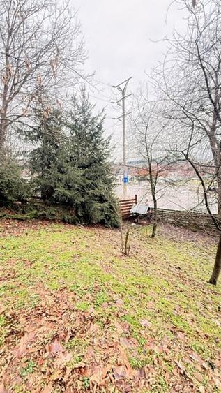 Teren intravilan de 24880 mp, în Griviței