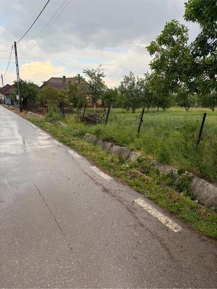 Teren intravilan Husasau de Tinca, Miersig, 1200 mp, la asfalt (25 min de Oradea) - 3