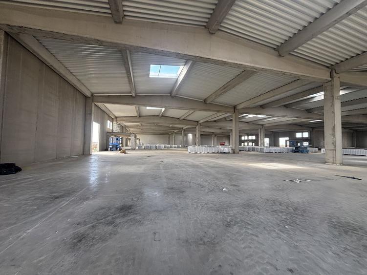 Spațiu industrial, de 885 mp, în Sânandrei