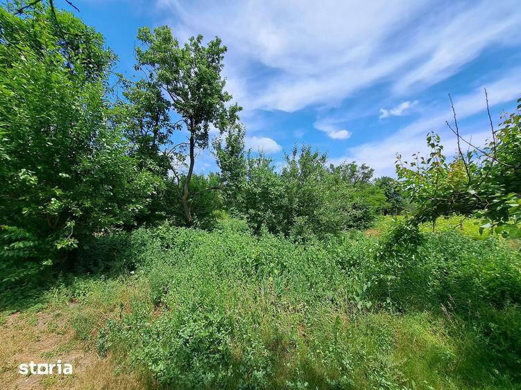 Teren de 2380 mp, în Gurbănești