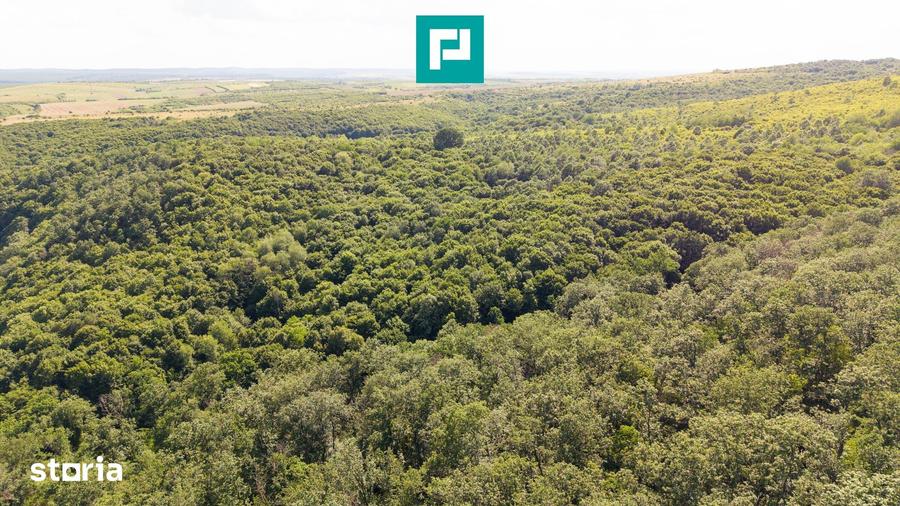 Teren de 22900 mp, în Central