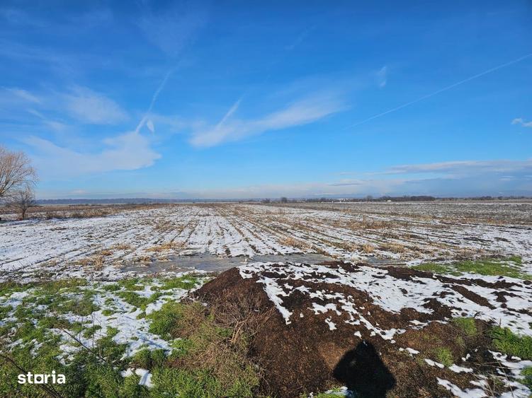 Teren de 10900 mp, în Băleni