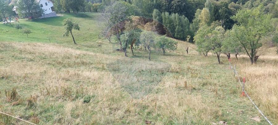Teren agricol intravilan de 4608 mp, în Măgura