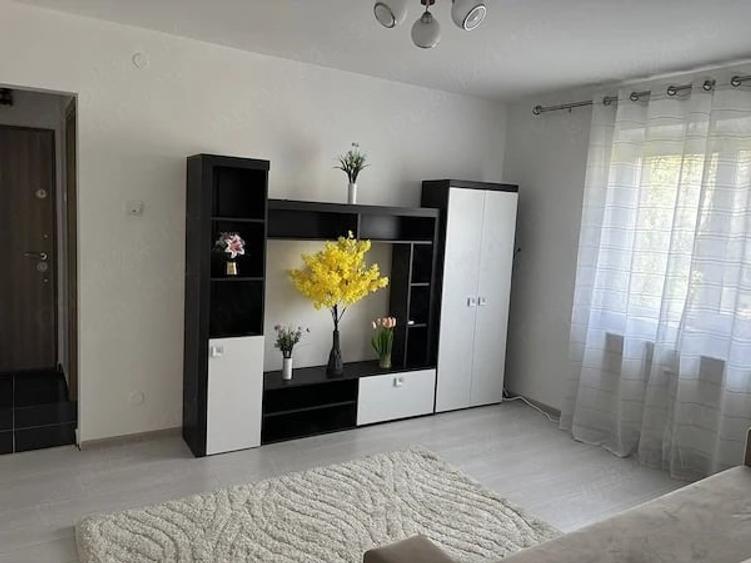 Apartament 2 camere de inchiriat - 9