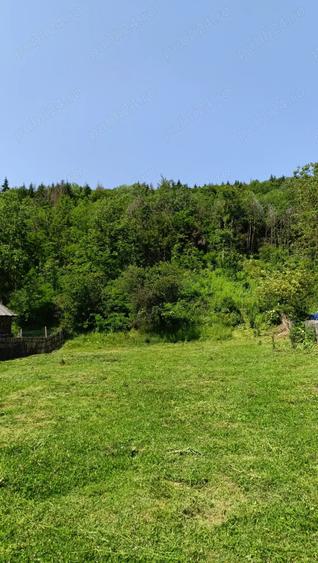 Teren de 4000 mp, în Aninoasa