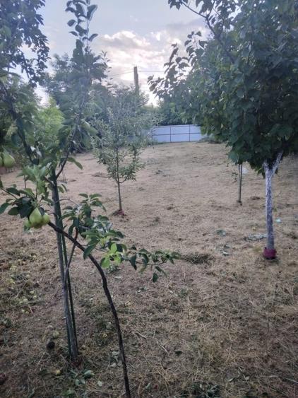 Casă cu 4 camere cu Teren 1030 Mp în Central