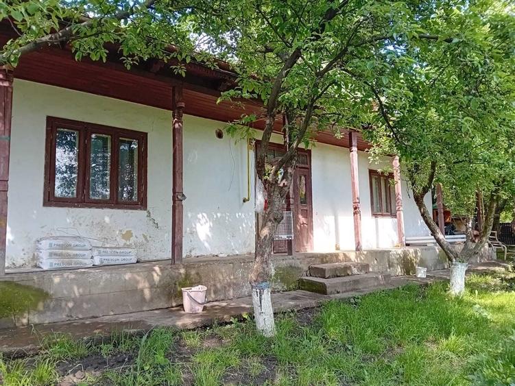 Casă cu 2 camere în Tomești