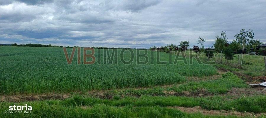 Teren Intravilan 31.900 mp, Corbeanca Deschidere 70 ml, Zona Reziden - 3