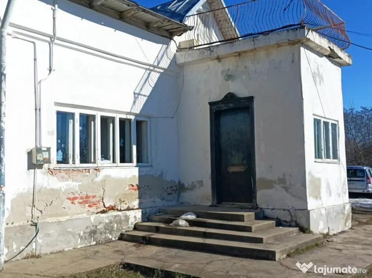 Mo?ia boiereasca din varf de deal, Scor?eni - Prahova, c - 6