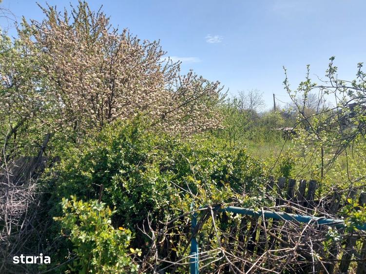 Teren de 1680 mp, în Miroslava