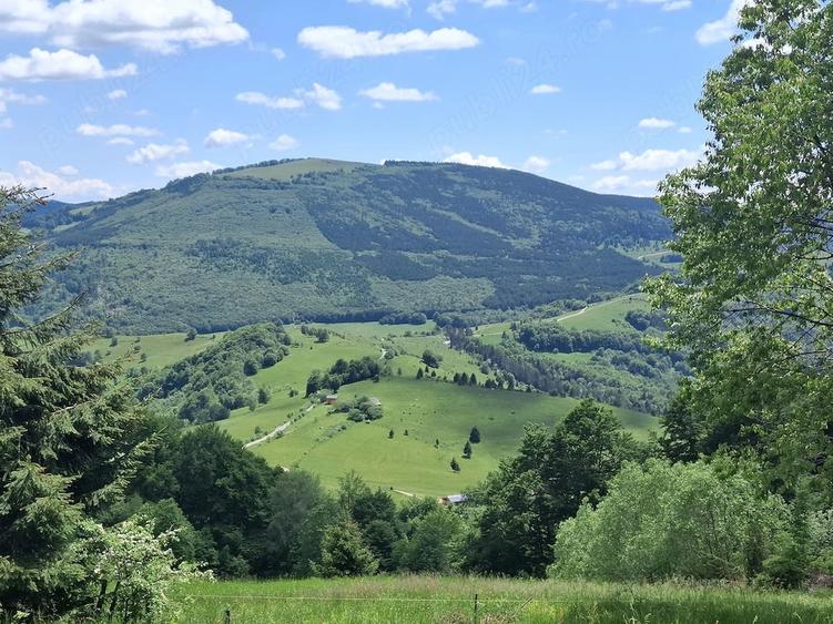 Teren de 6695 mp, în Mogoș