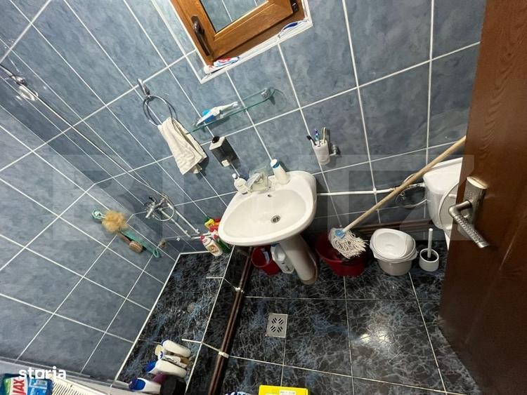 Casă cu 3 camere în Priboiu