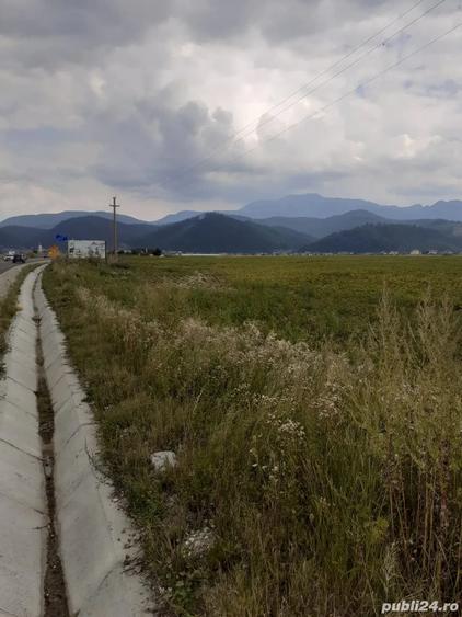 Teren de 5000 mp, în Central