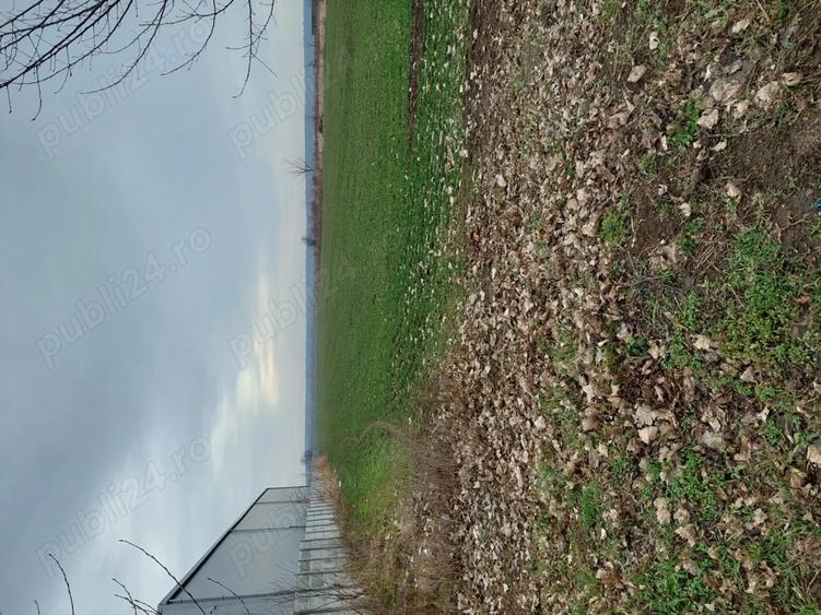 Teren de 2500 mp, în Moara Domnească