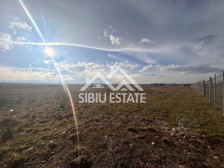 Teren agricol extravilan de 2000 mp, în Sud