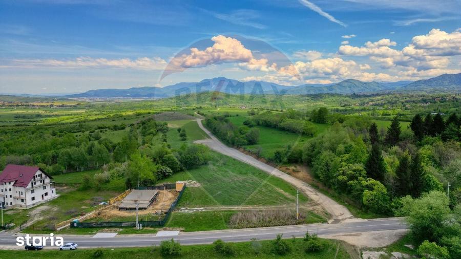 Teren de 646 mp, în Tohănița