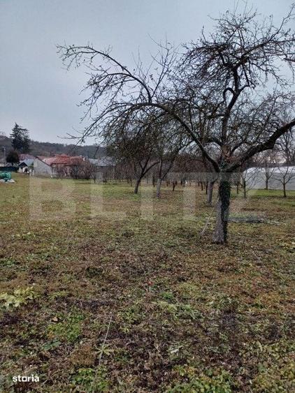 Spațiu comercial, în Turda