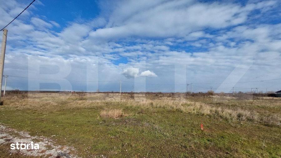 Teren de 300000 mp, în Sânmihaiu Român