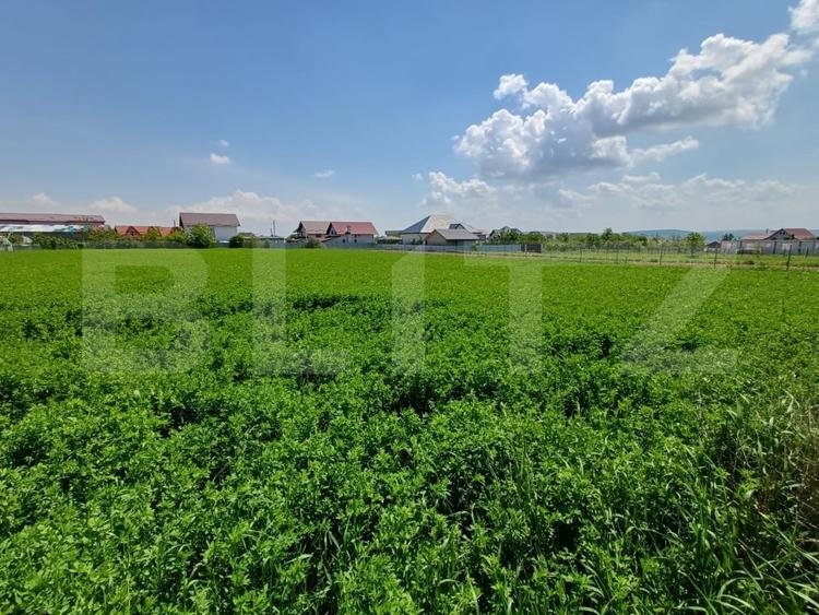 Teren de vanzare intravilan, 72 ari, zona Salcea - 4