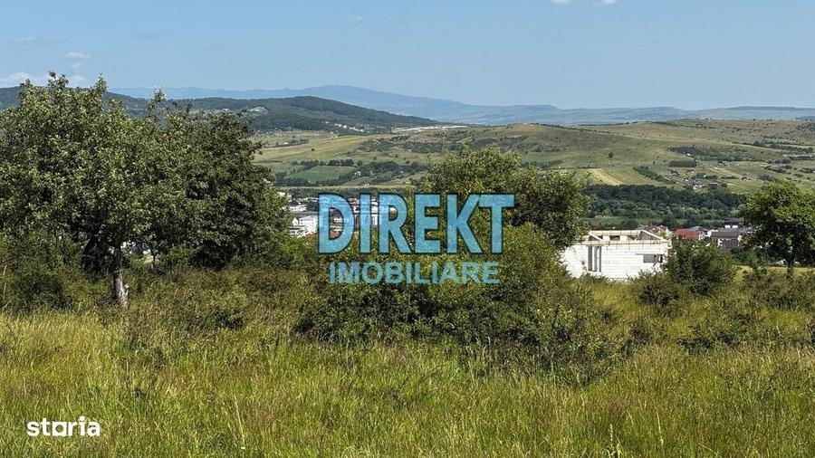 Spațiu comercial, în Central