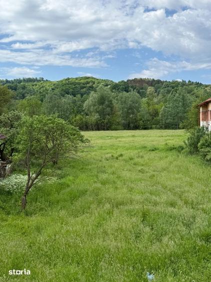 Teren de 1200 mp, în Provița de Sus