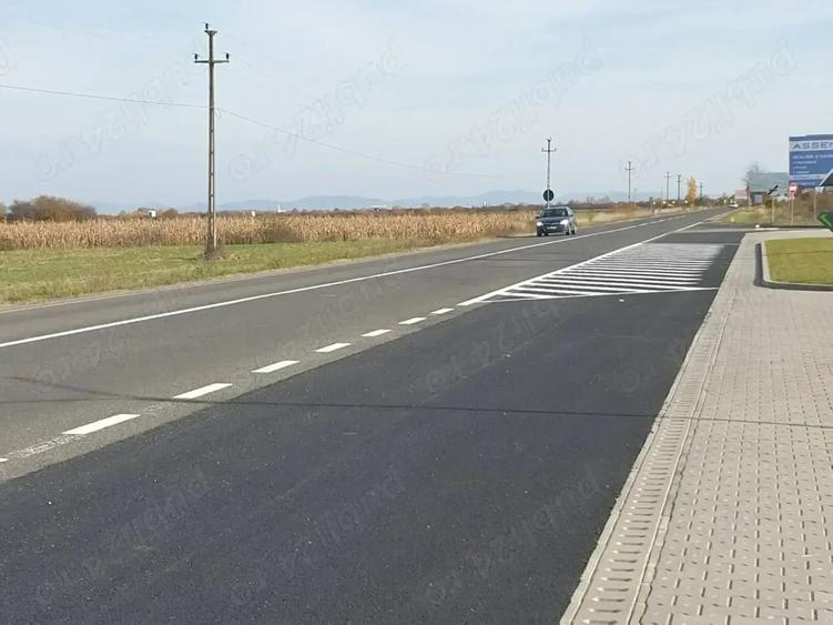 Teren de 32300 mp, în Sud