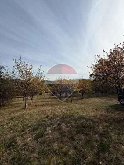 Teren agricol extravilan de 13340 mp, în Giulești