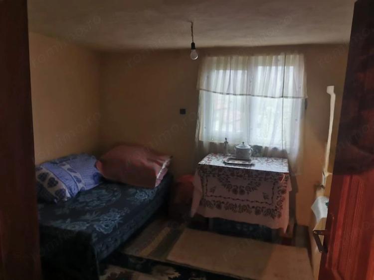 Casă cu 4 camere cu Teren 7000 Mp în Argetoaia