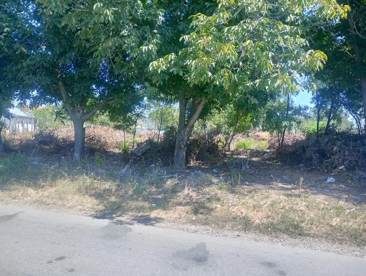 Teren Construcții intravilan de 1360 mp, în Frumușani