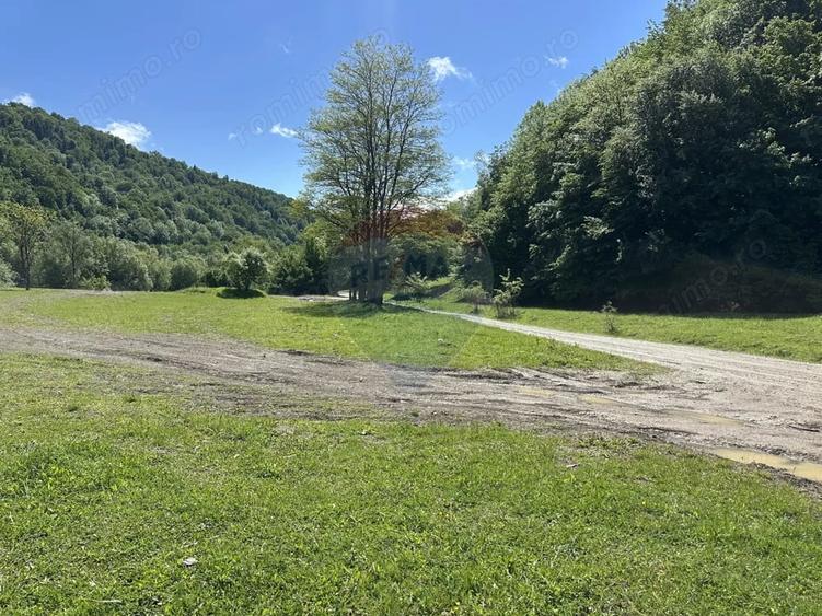 Teren de 1340 mp, în Cuejdiu