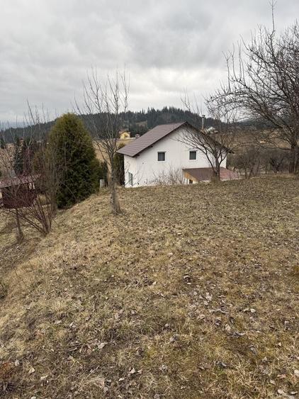 Casa de vanzare in Saru Bucovinei - 7