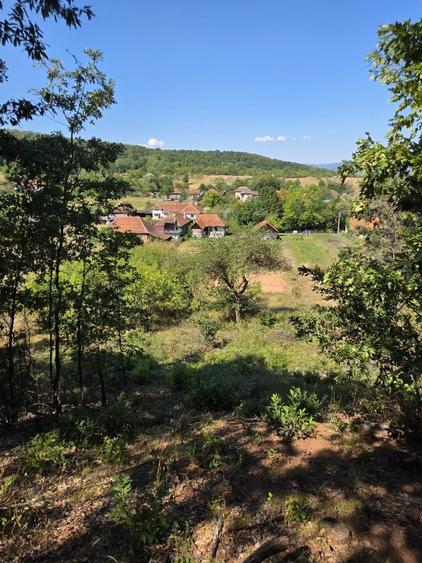 Teren Construcții intravilan de 4903 mp, în Lunca (Baia de Criș)