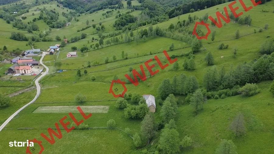 Spațiu comercial, în Barcani