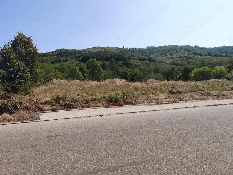 Teren de 3750 mp, în Verdea