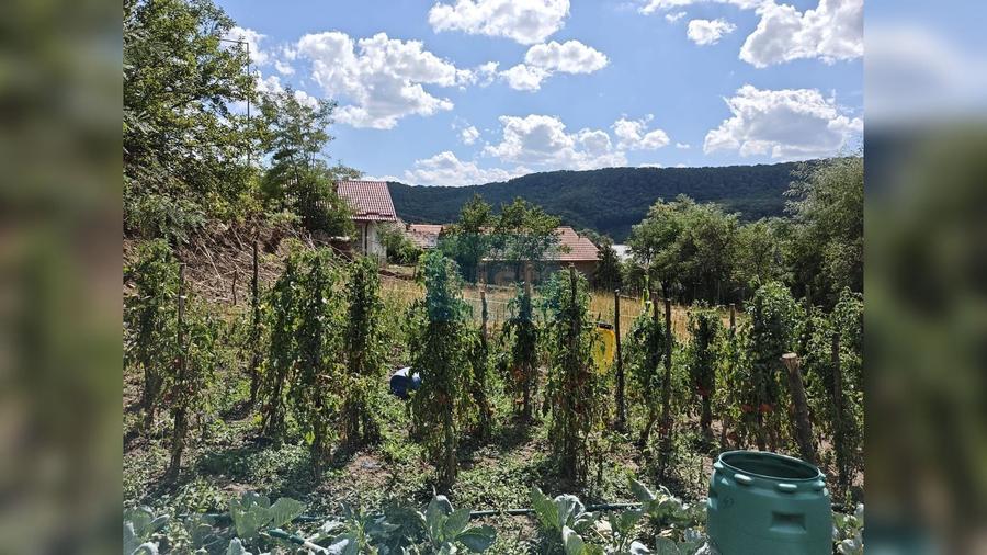 Casă cu 2 camere cu Teren 1457 Mp în Vest