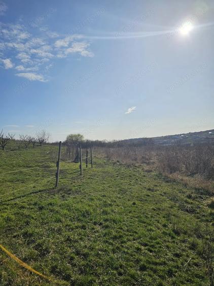 Teren de 850 mp, în Săldăbagiu de Munte