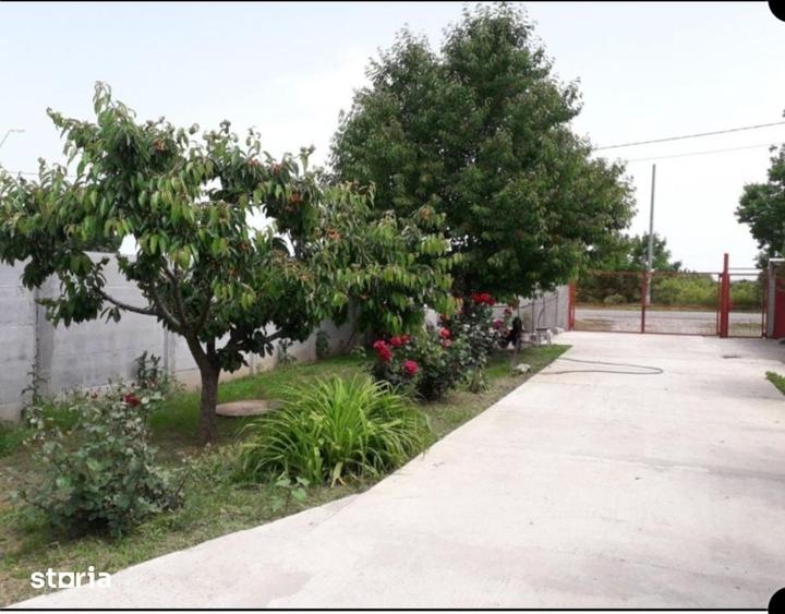 Casă cu 5 camere cu Teren 4200 Mp în Adunații-Copăceni