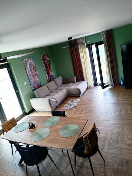 de vanzare casa parter viile satu mare - 1