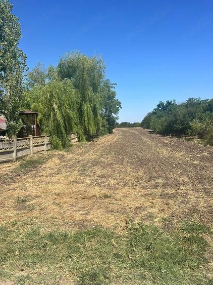 Teren de 4800 mp, în Sălciile