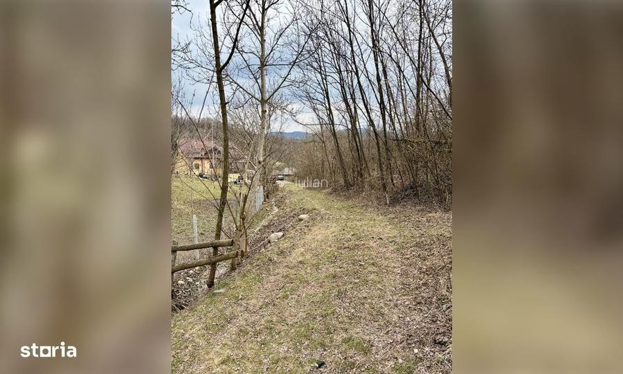 Teren Salatrucel Calimanesti intravilan cu curent 380V 3300mp
