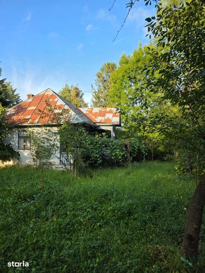 Teren de 2500 mp, în Central