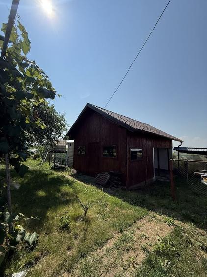 Casă cu 3 camere în Central