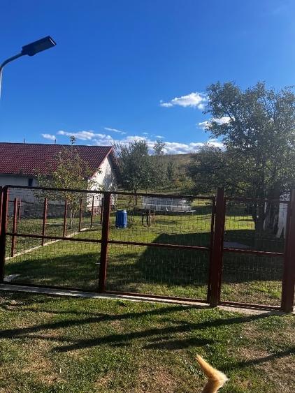 Casă individuală cu 3 camere cu Teren 7500 Mp în Sulighete