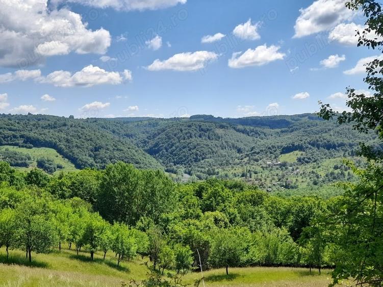 Teren de 4000 mp, în Berchez